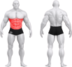 4007_BASIC NEGATIVE BENCH WITH DOUBLE ROLL.png