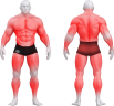 4005_BASIC FLAT BENCH.png