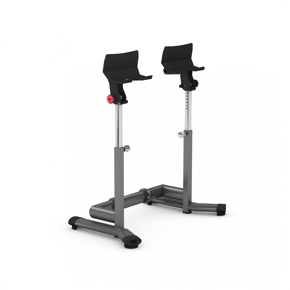 gym80_4271_basic_dumbbell_spotter_overview2.jpg