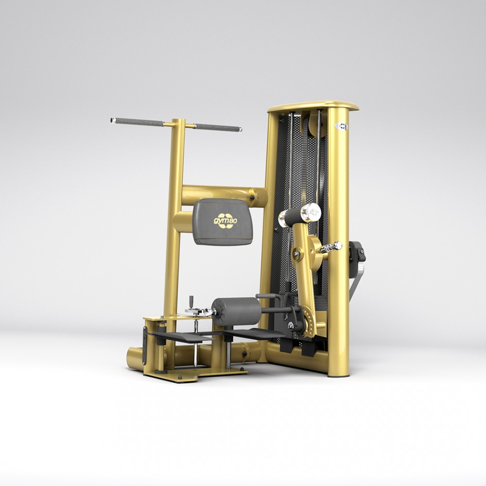 2026_sygnum_0012_gym80_3013_standing_leg_curl_NC_overviewp.jpg