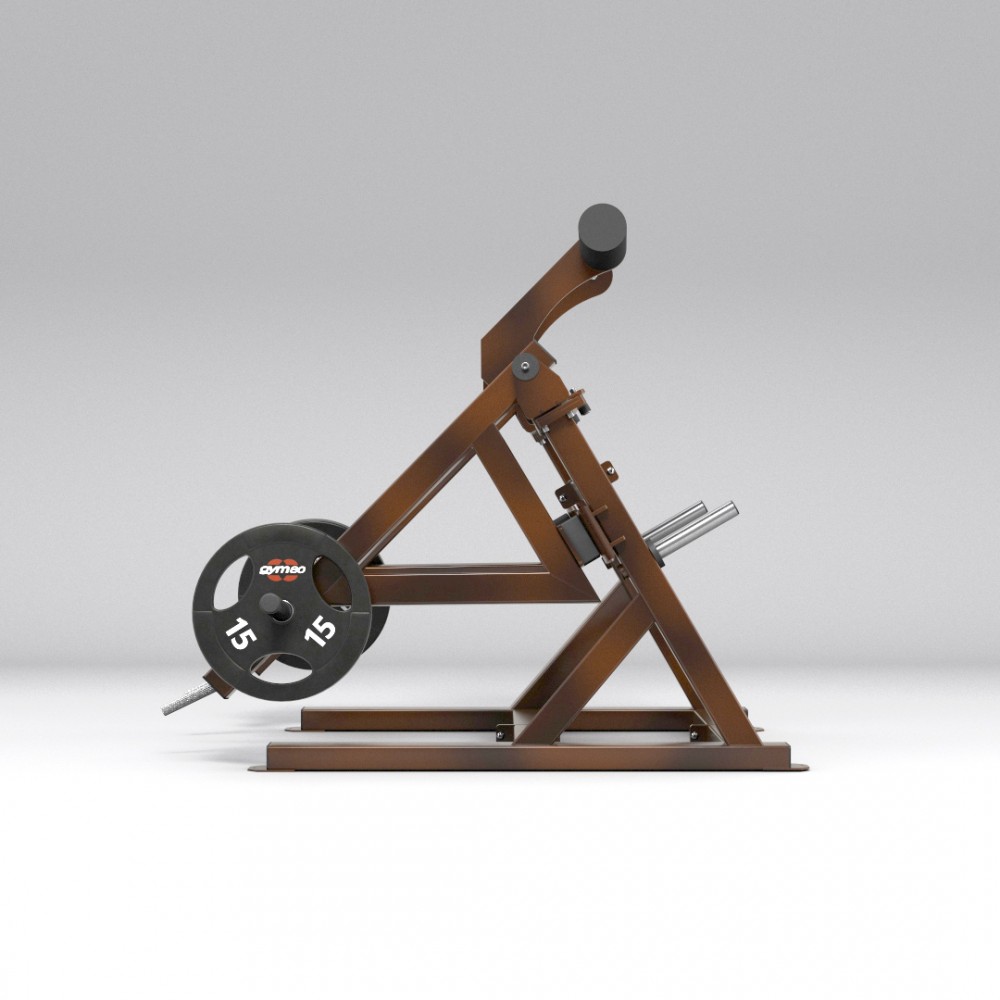 gym80_5905_standing_multi-joint_NC_side.jpg