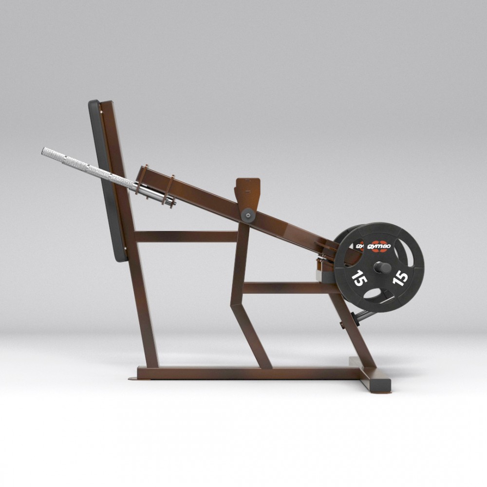 gym80_5904_standing_triceps_dip_NC_side.jpg