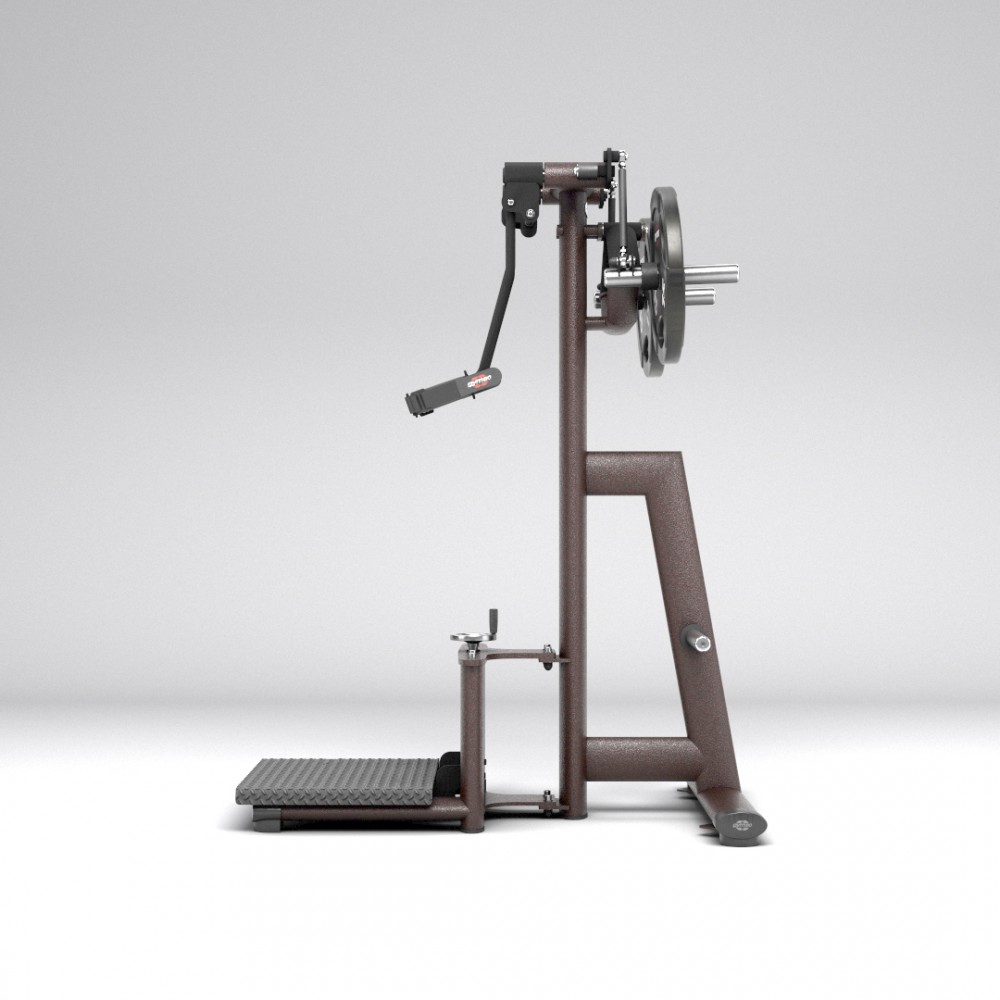 gym80_4385_standing_shoulder_lateral_raise_NC_side-.jpg