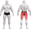 80A00030_LEG CURL.png