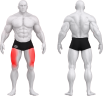 80A00029_LEG EXTENSION.png