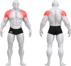 80A00016_BENT OVER LATERAL RAISE.png